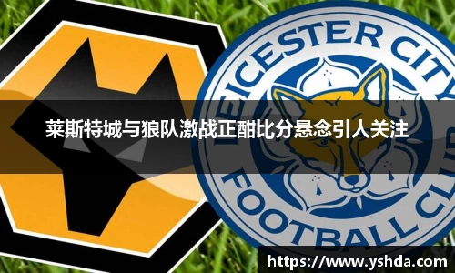 莱斯特城与狼队激战正酣比分悬念引人关注